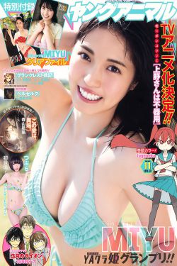 陈美男