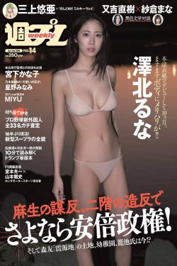 戴向宇