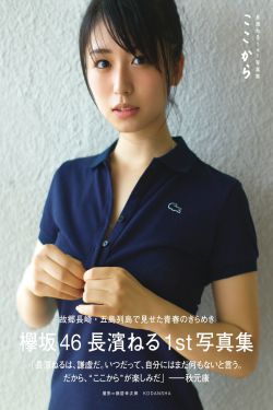 黑狐电视剧