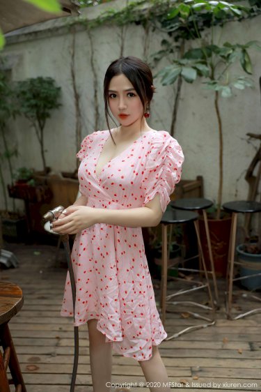 x女伯爵